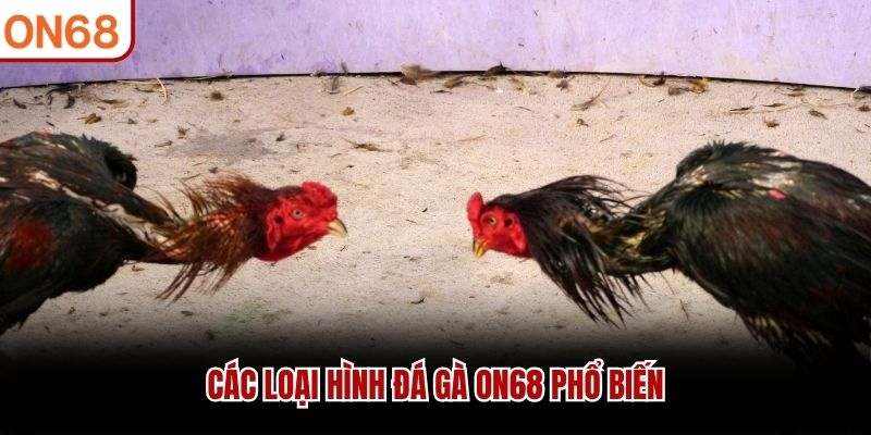 Các loại hình đá gà ON68 phổ biến