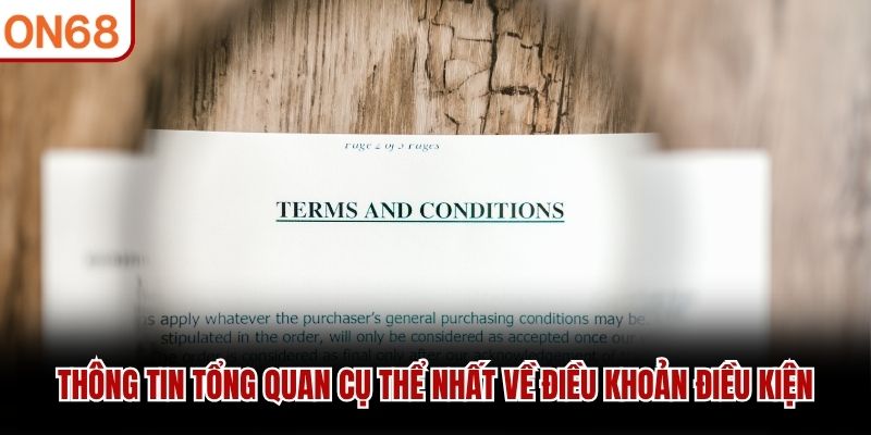 Thông tin tổng quan cụ thể nhất về điều khoản điều kiện